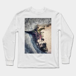 Seaweed Studies Long Sleeve T-Shirt